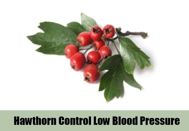 7 Herbal Remedies For Low Blood Pressure