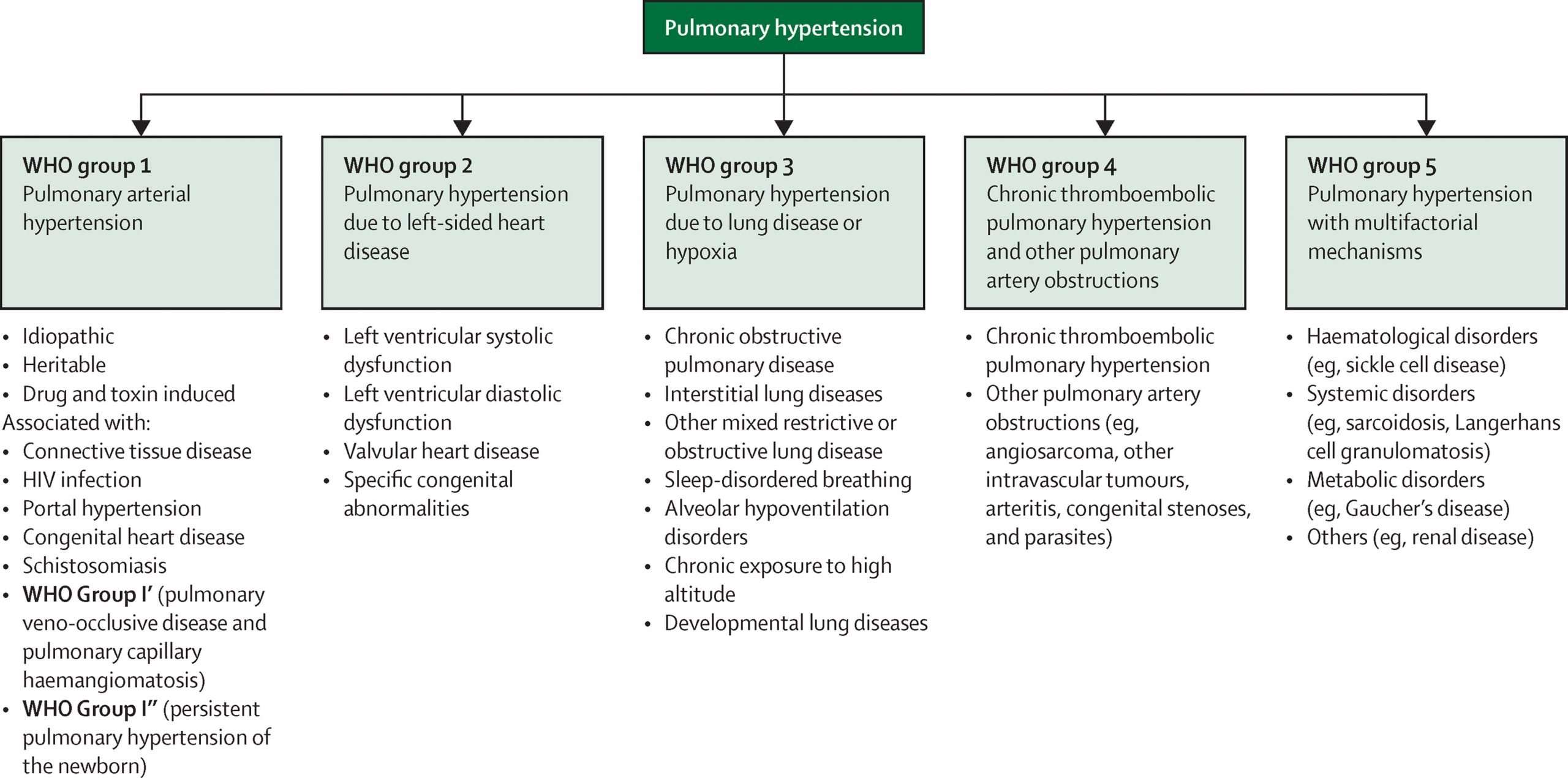 A global view of pulmonary hypertension