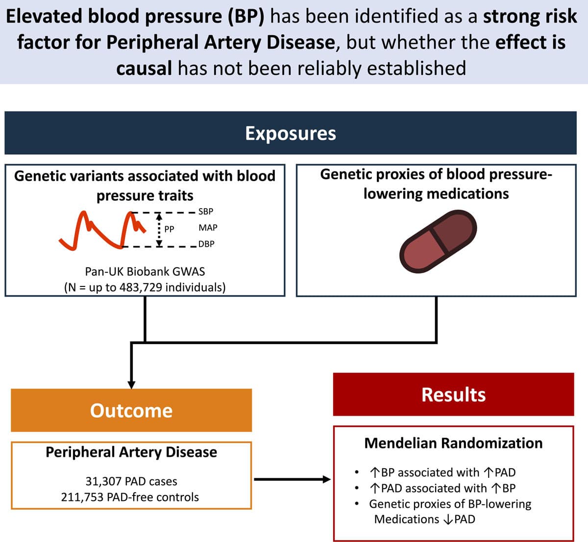 Association Between Genetic Variation in Blood Pressure and Increased ...