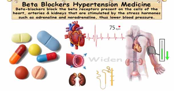 Beta Blockers Medications for Hypertension
