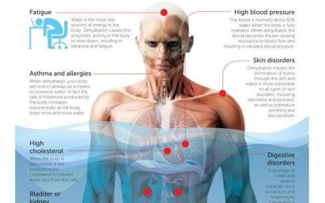 Dehydration Negatively Affects Your Mind And Body