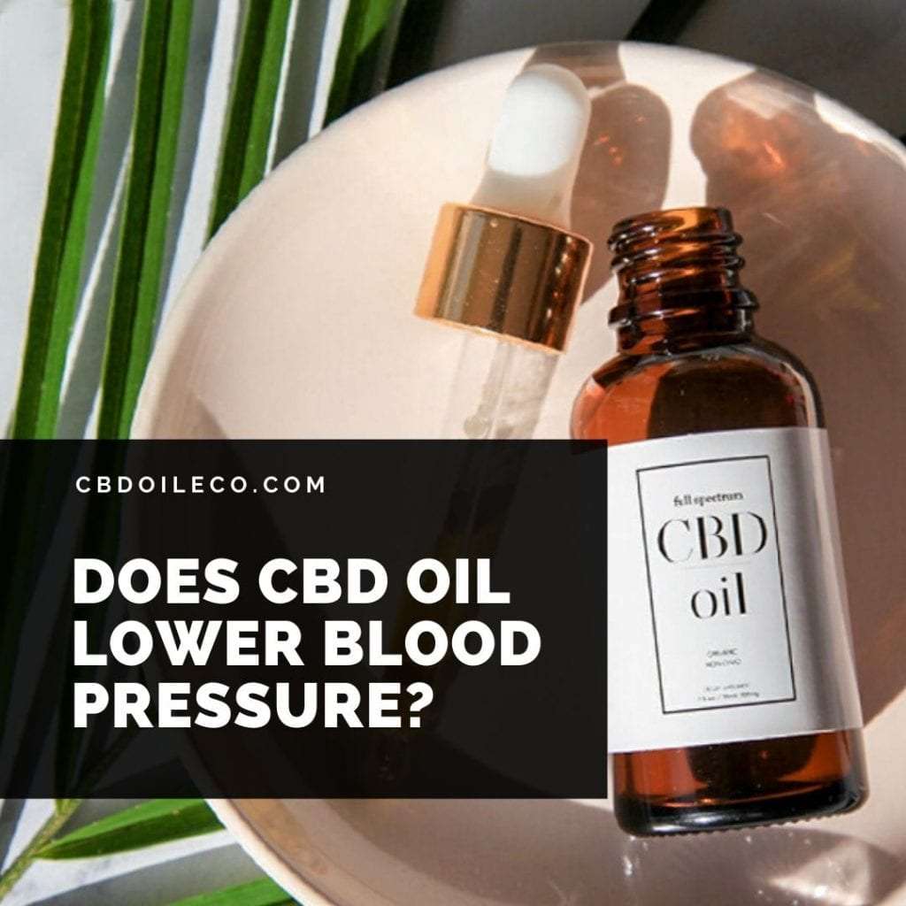 Does CBD Oil Lower Blood Pressure?