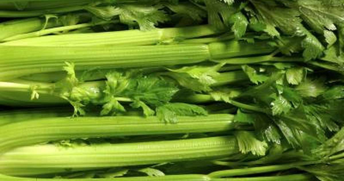 Does Celery Lower High Blood Pressure?
