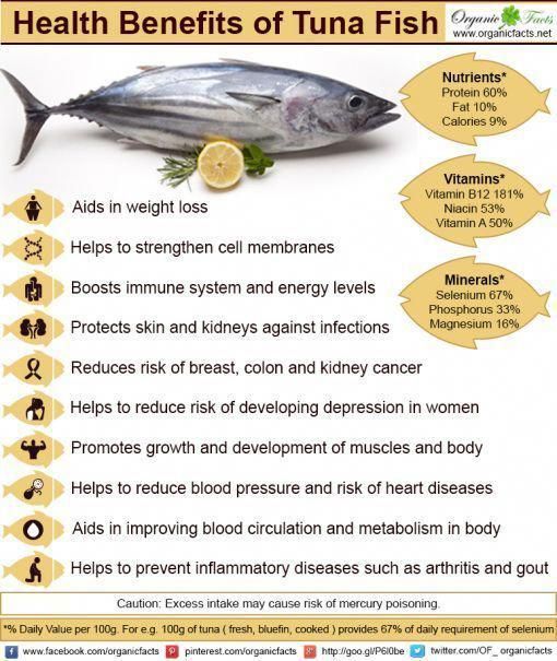Does Fish Oil Lower Blood Pressure