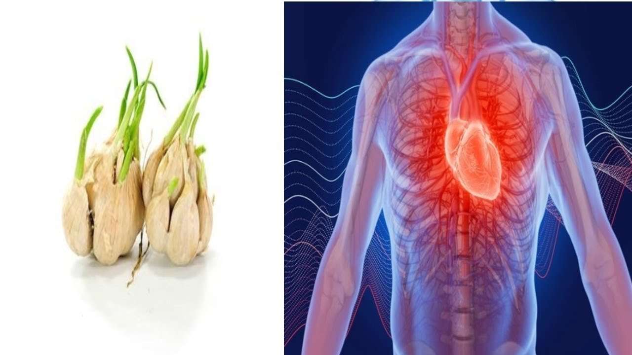 Garlic For High Blood Pressure: Here
