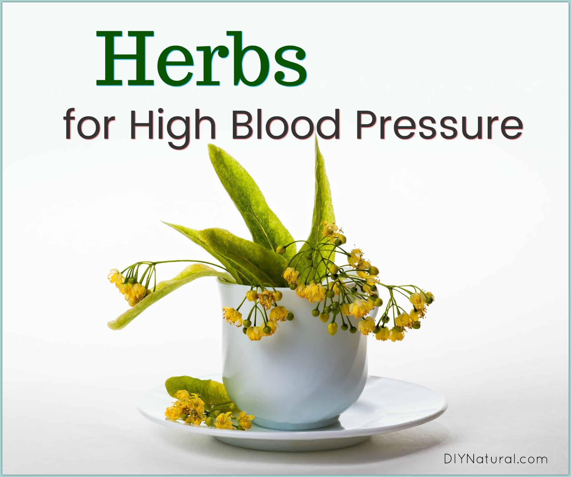 Herbs for High Blood Pressure: Strategies to Help Regulate It Naturally