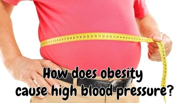 How does obesity cause high blood pressure?