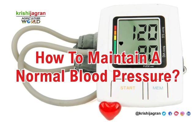 How to Maintain a Normal Blood Pressure?