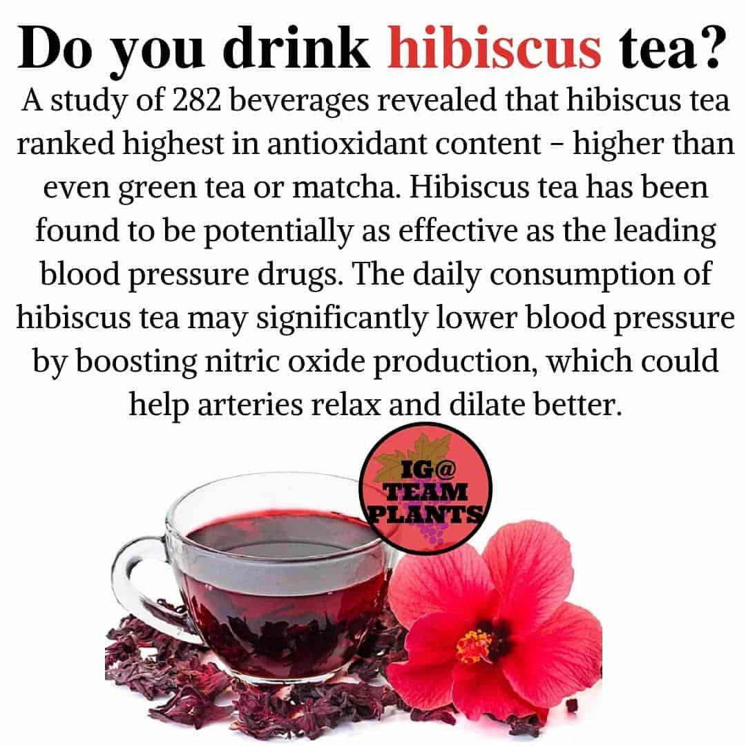 How To Make Hibiscus Tea To Lower Blood Pressure