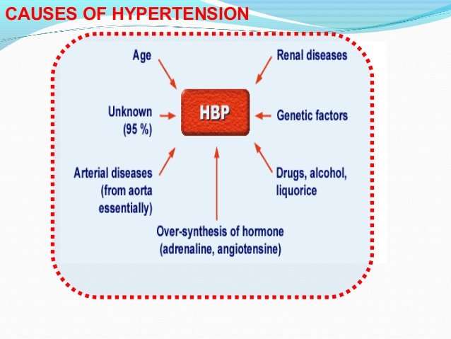 Hypertension treatment in Ayurveda I Causes &  Symptoms of ...