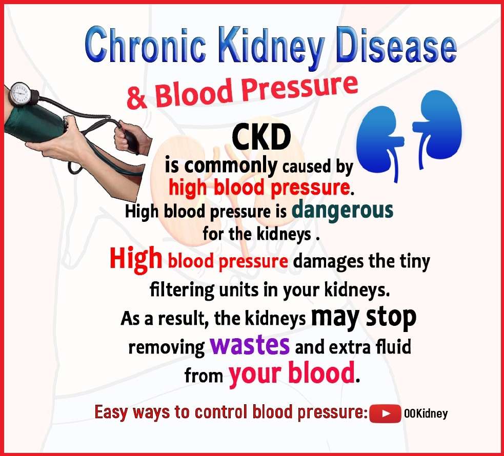 Is it really possible to get off kidney dialysis?: Chronic kidney ...