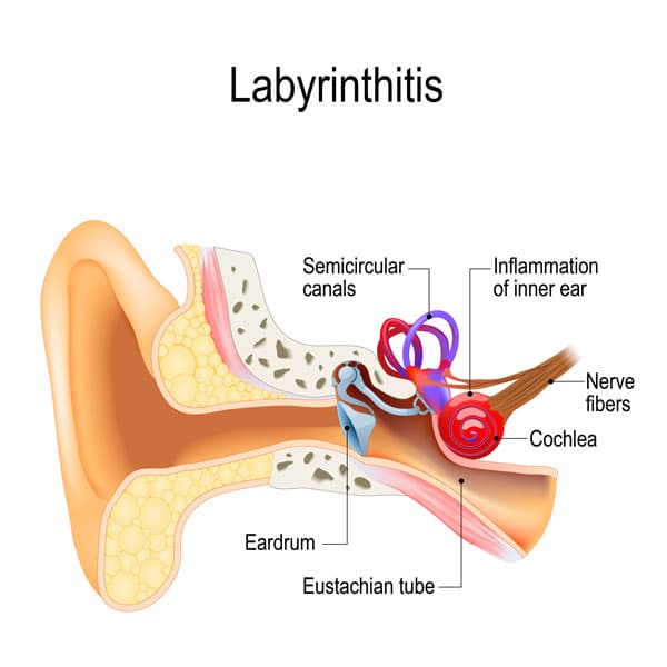 Medical &  Surgical Conditions of the Ear