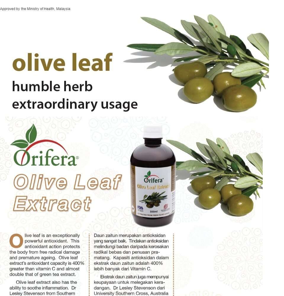 Olive Leaf Extract Malaysia