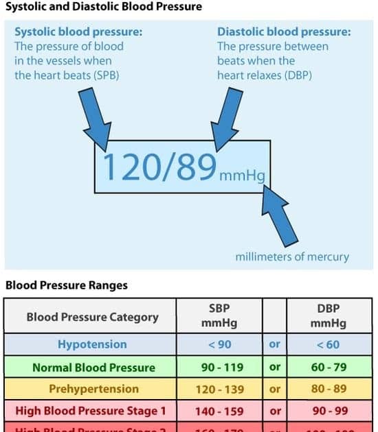 scottcliffdesigns: Why Is The Diastolic Blood Pressure High