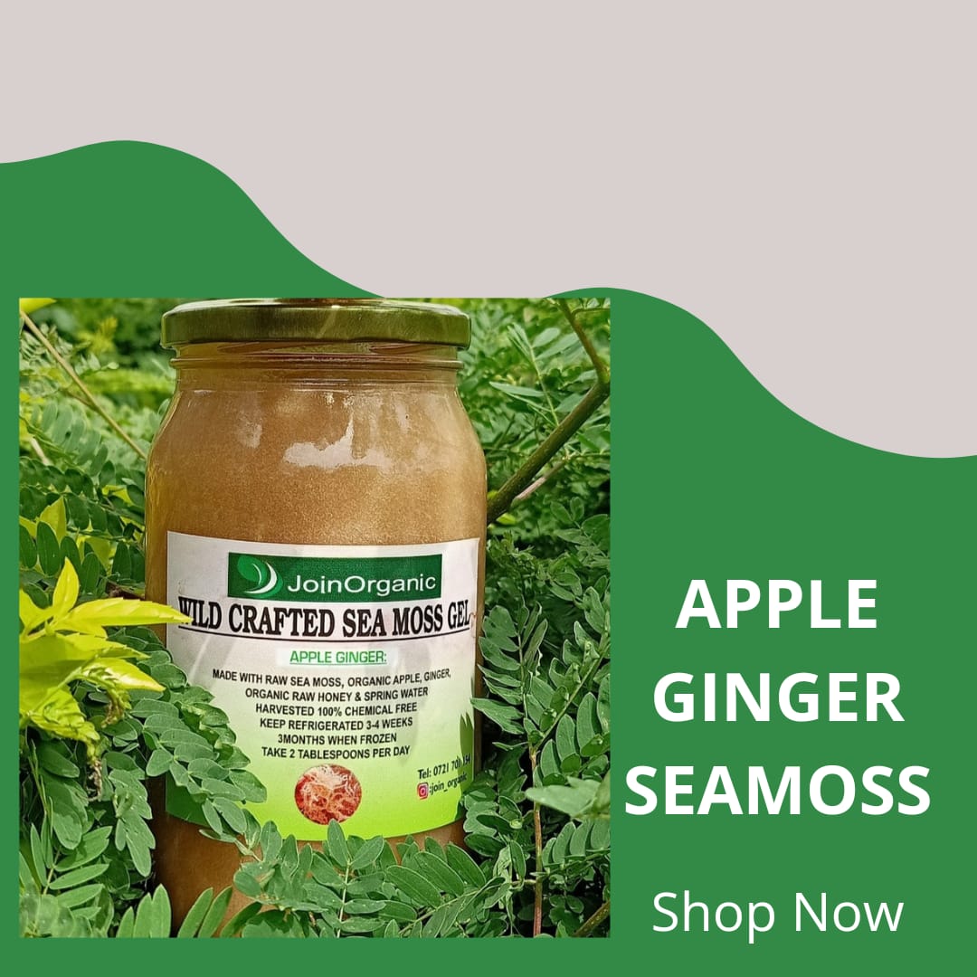 Sea Moss Gel (Apple Ginger)  Join Organics
