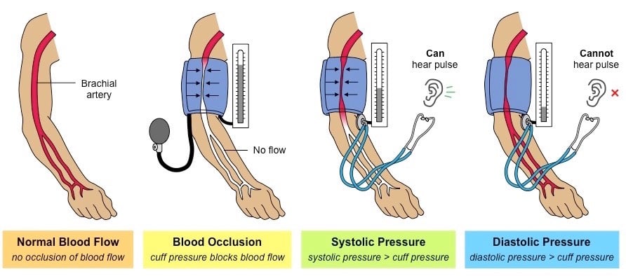 See How You Can Measure Your Blood Pressure At Home ...