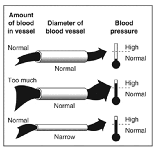 Supposedly, high blood pressure can occur from drinking too much water ...