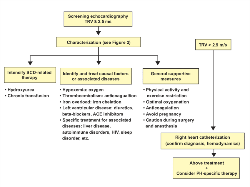 Treatment algorithm for pulmonary hypertension associated ...