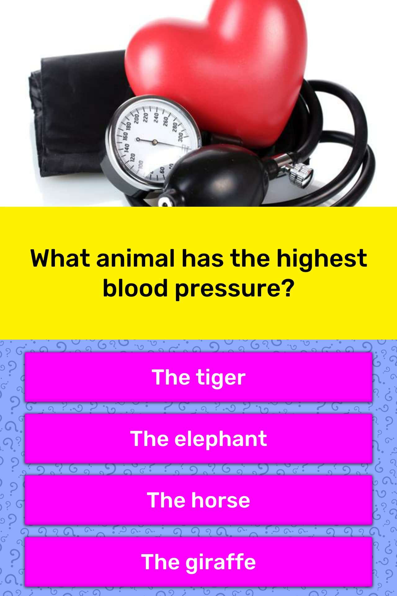 What animal has the highest blood...
