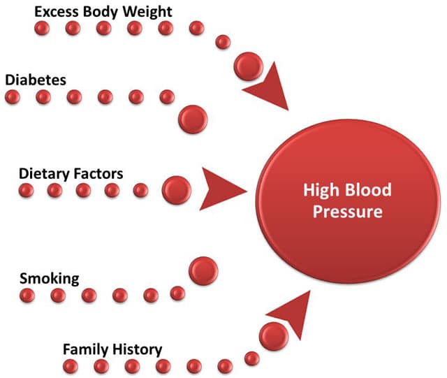 What Causes High Blood Pressure and Atherosclerosis?
